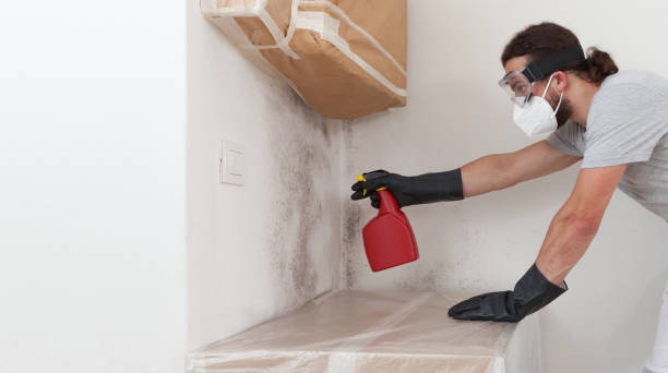 Professional Bathroom Mold Removal technician working in Falcon, NC