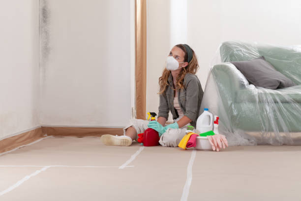 Reliable Bathroom Mold Removal contractor in Falcon, NC by 24 Hour Mold Removal
